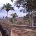 8 Fazenda Agua Branca (9)
