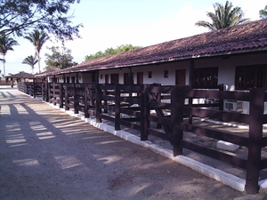 8 Fazenda Agua Branca (10)