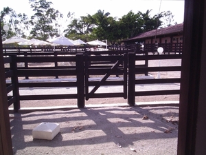 8 Fazenda Agua Branca (13)