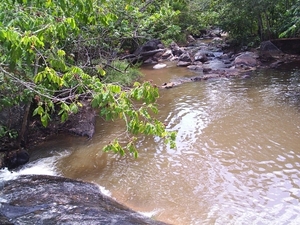 9 Jeep safari (15)