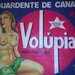 11 Volupia (24)