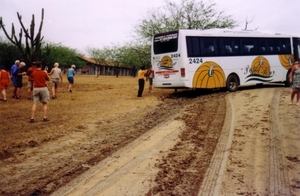 Scan20015