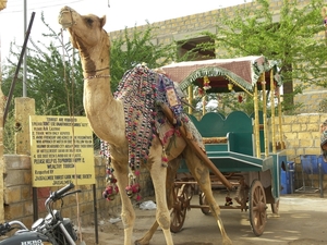 India, Land van contrasten : Rajasthan