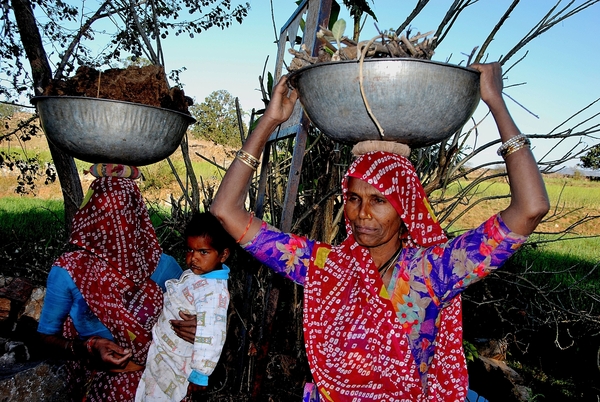 India, Land van contrasten : Rajasthan