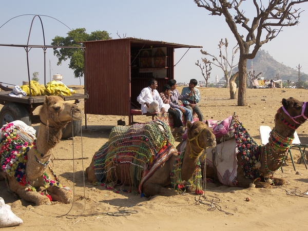 India, Land van contrasten : Rajasthan