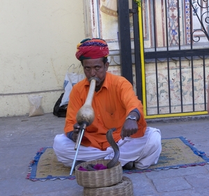 India, Land van contrasten : Rajasthan