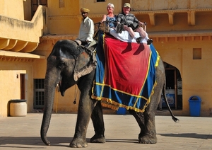 Jaipur, Amber Fort