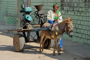 India, Land van contrasten : Rajasthan