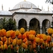 2011_04_29 126 Topkapi Istanbul