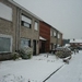sneeuw op 1 februarie 2009 002