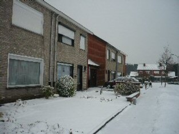 sneeuw op 1 februarie 2009 002