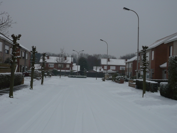 sneeuw op 1 februarie 2009 001