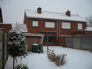 sneeuw op 1 februarie 2009 006