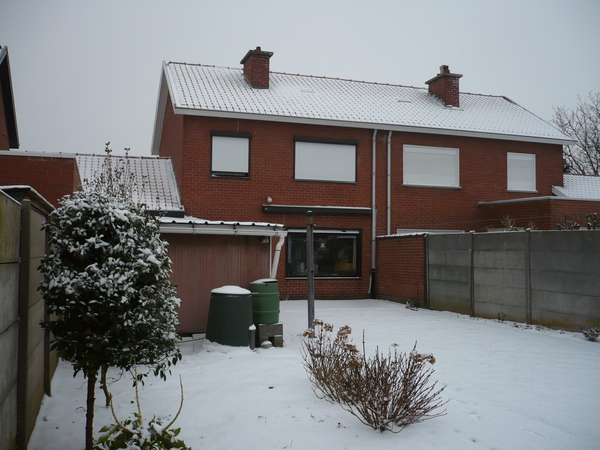 sneeuw op 1 februarie 2009 006