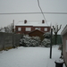 sneeuw op 1 februarie 2009 005