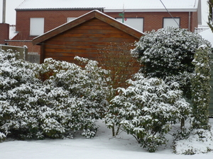 sneeuw op 1 februarie 2009 007