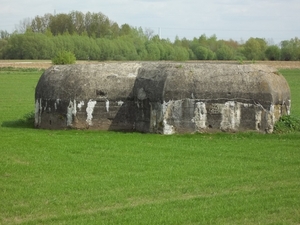 BUNKERS IN DE BUURT VAN HET FORT VAN LIEZELE