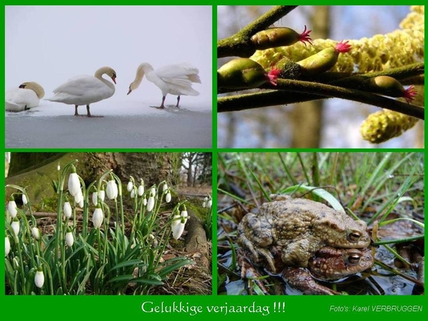 Gelukkige verjaardag  (zonder logo) 02