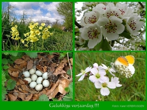 Gelukkige verjaardag  (zonder logo) 04