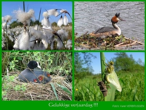Gelukkige verjaardag  (zonder logo) 05