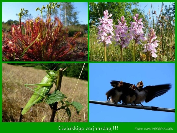 Gelukkige verjaardag  (zonder logo) 06