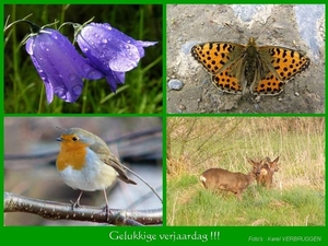 Gelukkige verjaardag  (zonder logo) 07