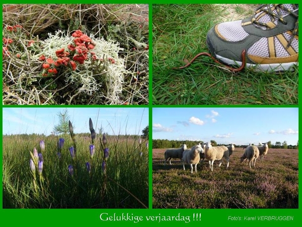 Gelukkige verjaardag  (zonder logo) 08