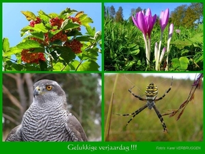 Gelukkige verjaardag  (zonder logo) 09