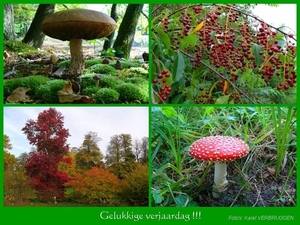Gelukkige verjaardag  (zonder logo) 10