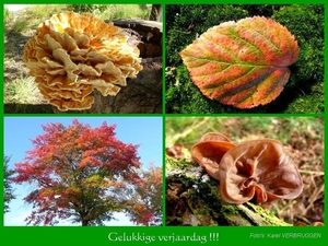 Gelukkige verjaardag  (zonder logo) 11