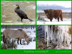 Gelukkige verjaardag  (zonder logo) 12