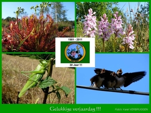 Gelukkige verjaardag 06