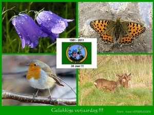 Gelukkige verjaardag 07