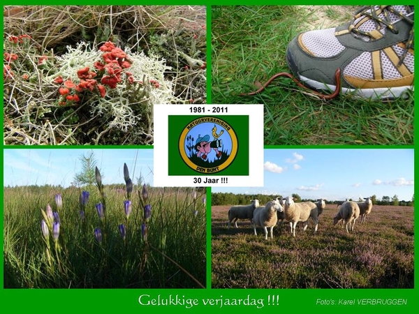 Gelukkige verjaardag 08