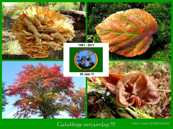 Gelukkige verjaardag 11