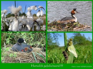 Hartelijk gefeliciteerd (zonder logo) 05