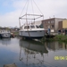 In het water 2011
