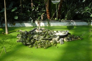 P1050255
