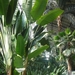 P1050256