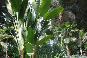 P1050256