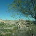 foto's Madrid 2011 044