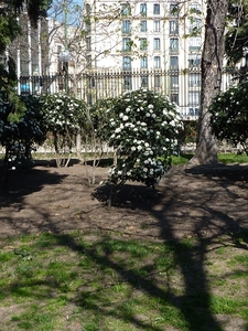foto's Madrid 2011 101