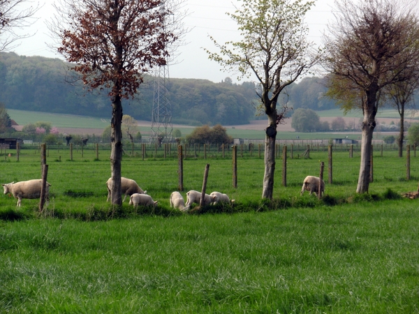 leupegem-onderweg..