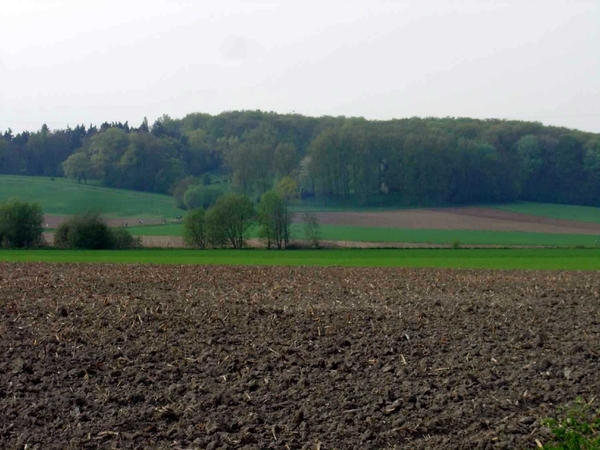 koppenberg..