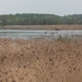 Vinne pano
