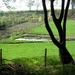 2011_04_17 Honnay 35