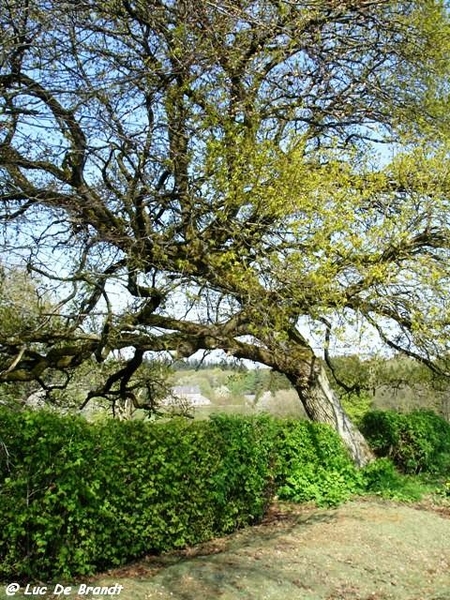 marche Adeps wandeling Honnay Ardennen