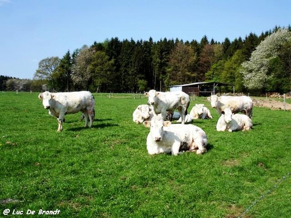 marche Adeps wandeling Honnay Ardennen