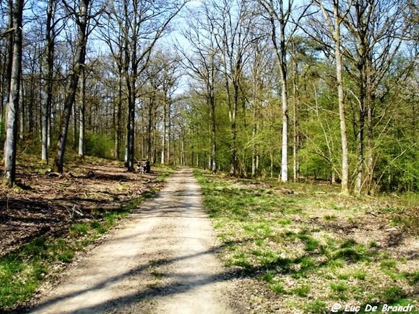 marche Adeps wandeling Honnay Ardennen