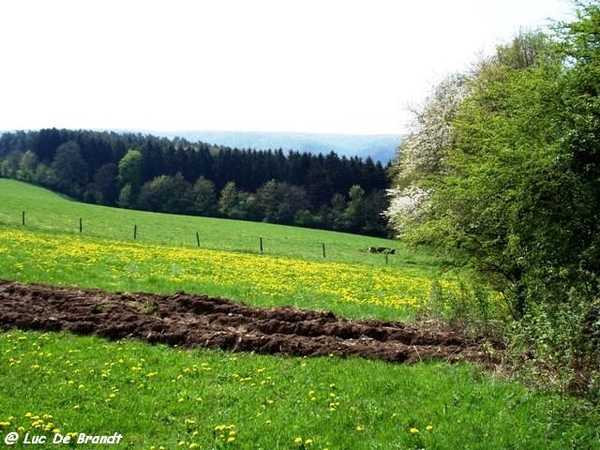 marche Adeps wandeling Honnay Ardennen